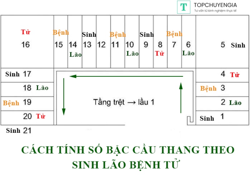 tính bậc cầu thang theo quy tắc sinh lão bệnh tử