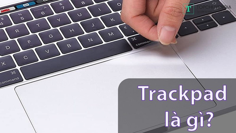TrackPad là gì?