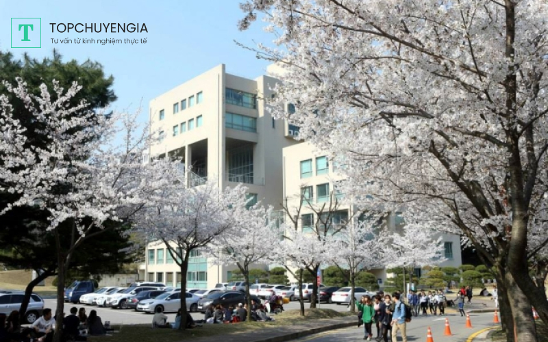 Trường Đại học Myongji