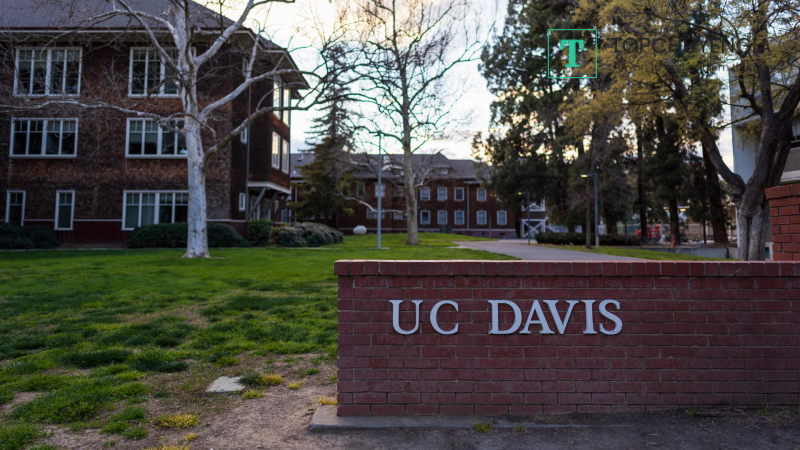 University of California - Davis