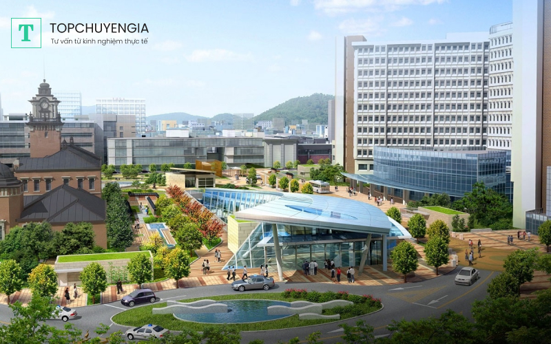 Trường Đại học Quốc gia Seoul