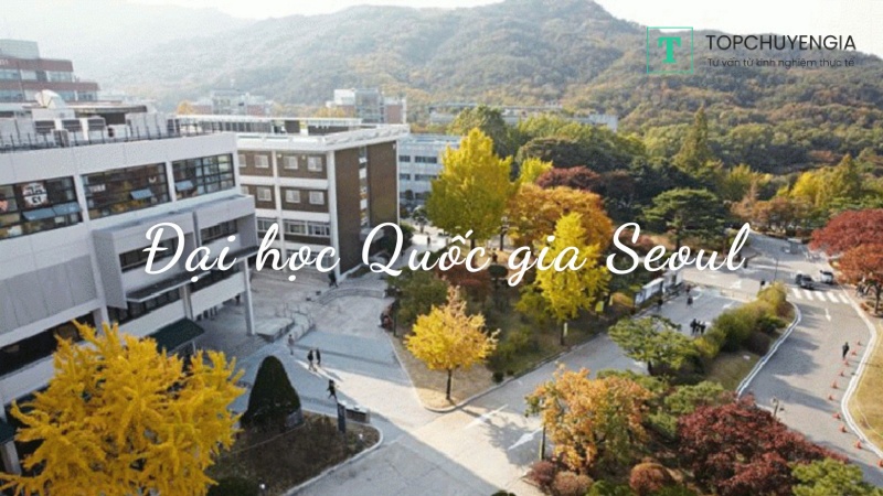 Những điểm nổi bật của Đại học Quốc gia Seoul