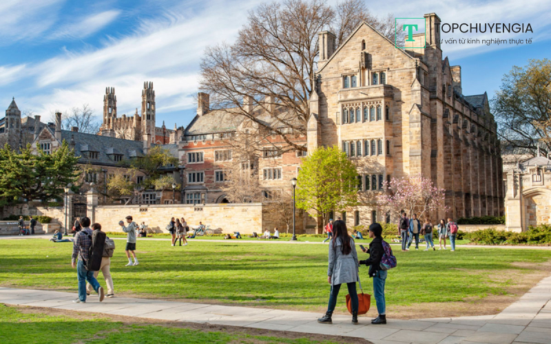 Đôi nét về Đại học Yale