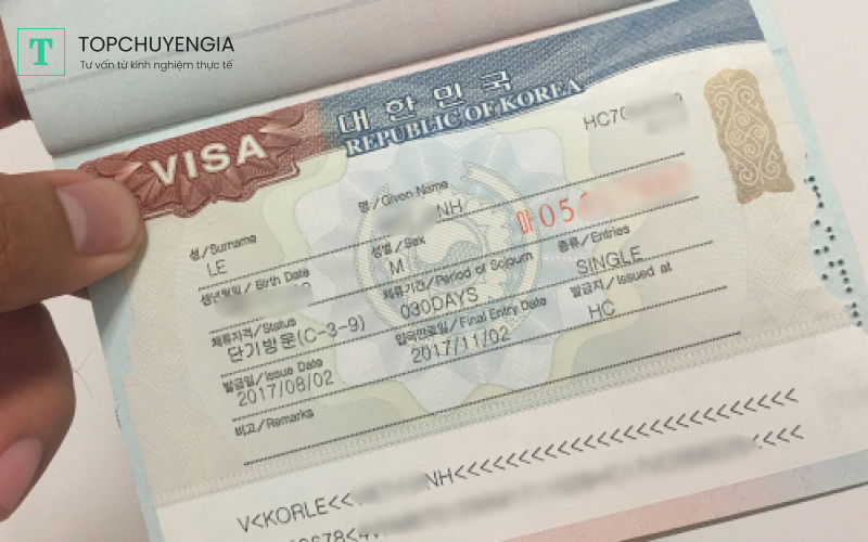 Visa hàn quốc có những loại nào